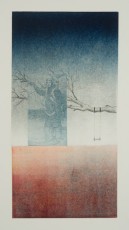 Memory of Wonder 5, 2018