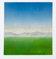Opus 14, 2008