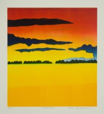 Opus 30, 2016
