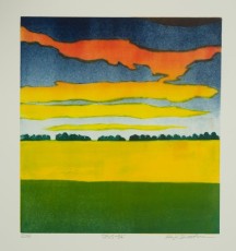 Opus 34, 2016