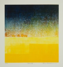 Opus 35, 2016