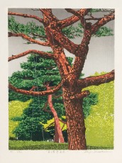 Kudara-ji ato, 2006